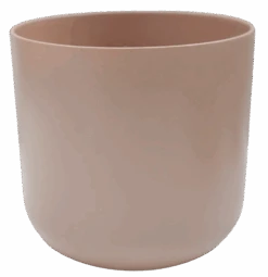 Pink Phalaenopsis Orchid & Lisbon Planter -Verdant Haven Sales Store d LPPCD2 50b71d85 9070 4d13 808b 0aefe023f2ee 1080x png