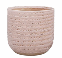 Verdant Haven Sales Store -Verdant Haven Sales Store d MRGP18 eb975e24 6639 4863 8e73 faf8cc5db2cf