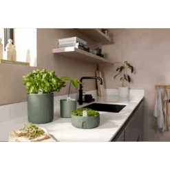 Bouncy Basil Grow Pot Leaf Green 17cm 11 Bouncy Basil Grow Pot Leaf Green 17cm -Verdant Haven Sales Store gyo indoor leaf green i1 jpg