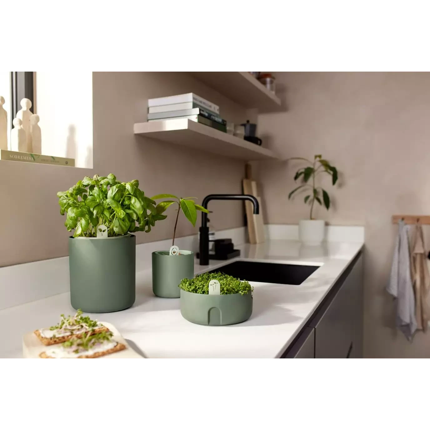 Bouncy Basil Grow Pot Leaf Green 17cm 6 Bouncy Basil Grow Pot Leaf Green 17cm - Image 6