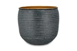 Ficus Benghalensis & Pot 'Petite Audrey' (Bengal Fig) -Verdant Haven Sales Store nkuku tembesi etched planter antique black brass 5055672403449 23545677807792