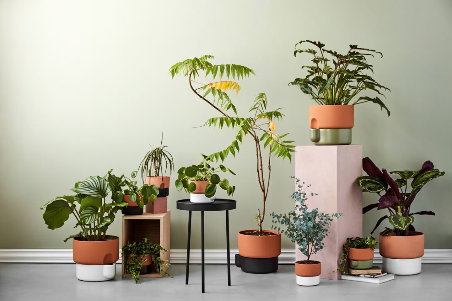 Verdant Haven Sales Store -Verdant Haven Sales Store northern oasis geschenke jpg 69596