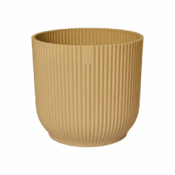 Baby Mexican Fortune Tree Or Pachira Aquatica & Vibes Pot -Verdant Haven Sales Store vibes fold rond butter yellow p1 png