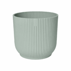 Syngonium White Butterfly And Vibes Pot -Verdant Haven Sales Store vibes fold rond sorbet green.t1.png 2 883dde80 4b02 4d08 abb0 ae5c3d5512d7