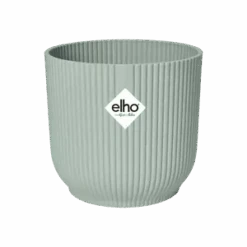 Spathiphyllum, Peace Lilly & Pot -Verdant Haven Sales Store vibes fold rond sorbet green pos t1 png ed296674 5ddf 40a3 9fd1 e4c892f6ac41