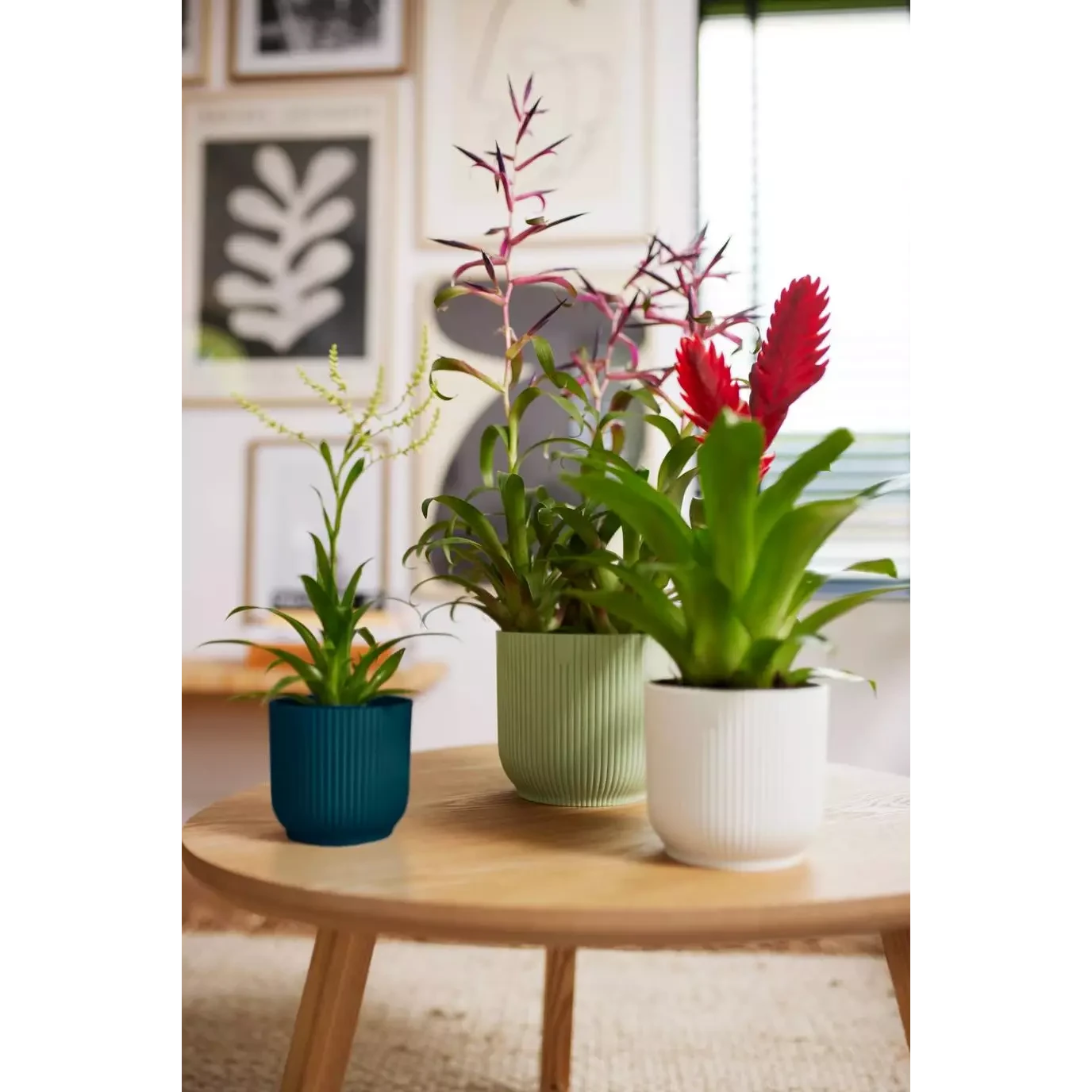 Vibes Fold Round Mini 11cm Butter Yellow 4 Vibes Fold Round Mini 11cm Butter Yellow - Image 4