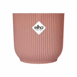 Baby Ficus Lyrata & Vibes Pot 17 Baby Ficus Lyrata & Vibes Pot -Verdant Haven Sales Store vibes fold round delicate pink s2 png 01e323af 46f0 4532 baa0 5f288c52a410