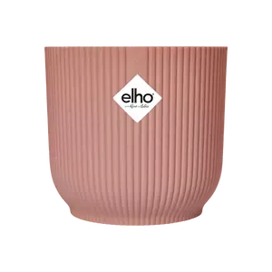 Baby Ficus Lyrata & Vibes Pot 9 Baby Ficus Lyrata & Vibes Pot - Image 9