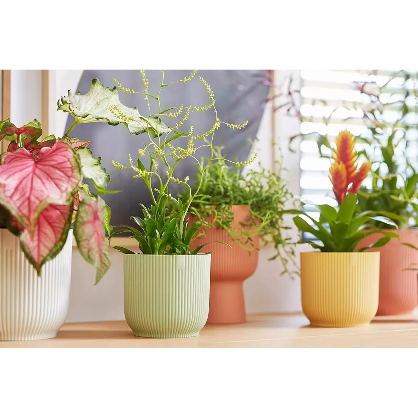 Vibes Fold Round Mini 11cm Butter Yellow 5 Vibes Fold Round Mini 11cm Butter Yellow - Image 5