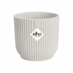 Syngonium White Butterfly And Vibes Pot -Verdant Haven Sales Store vibes fold round mini silky white s1 png 90fff5aa 087e 4073 b0bb 548c012ebafc