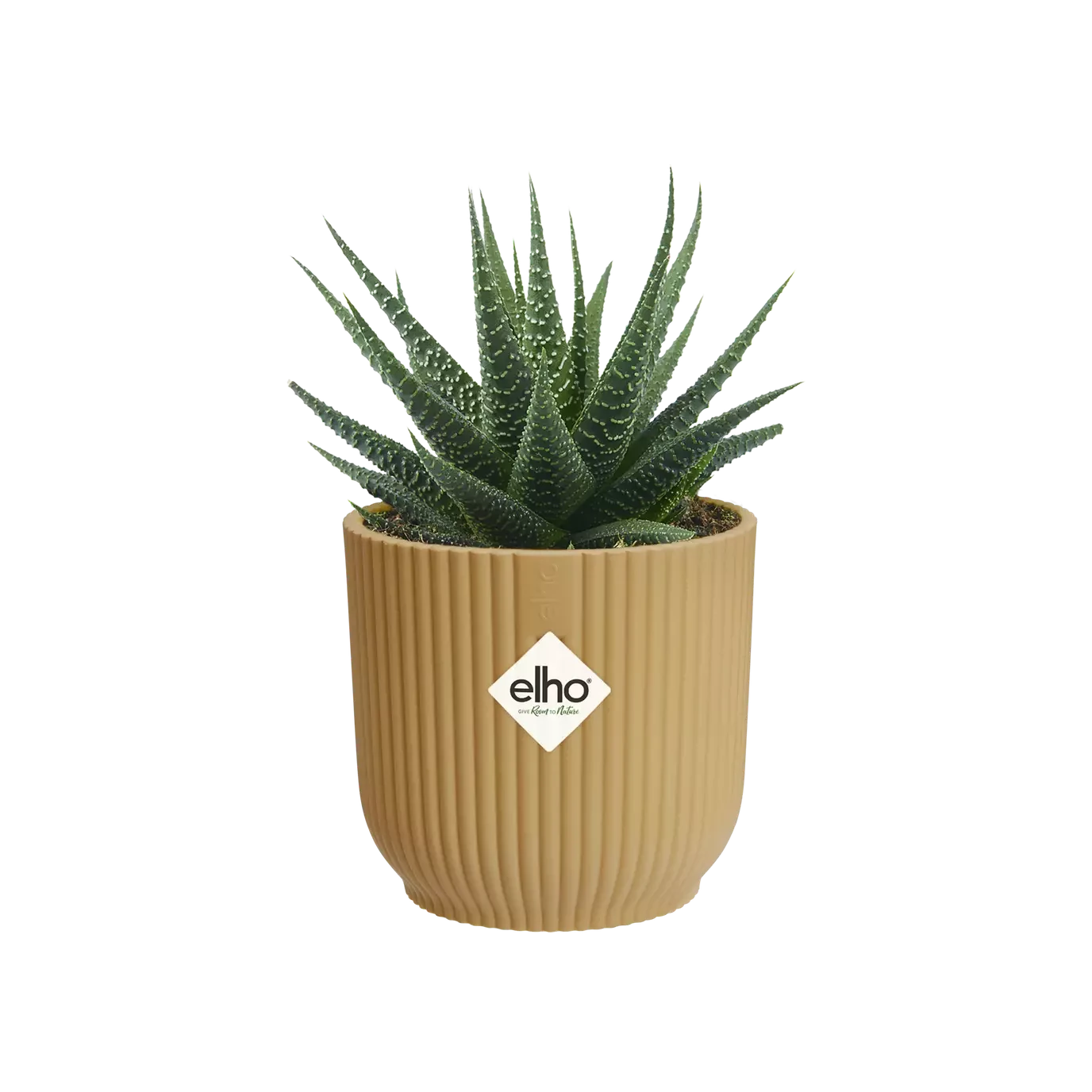 Vibes Fold Round Mini 11cm Butter Yellow 2 Vibes Fold Round Mini 11cm Butter Yellow - Image 2