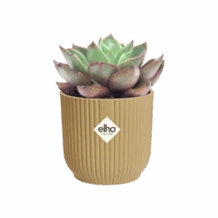 Vibes Fold Round Mini 11cm Butter Yellow