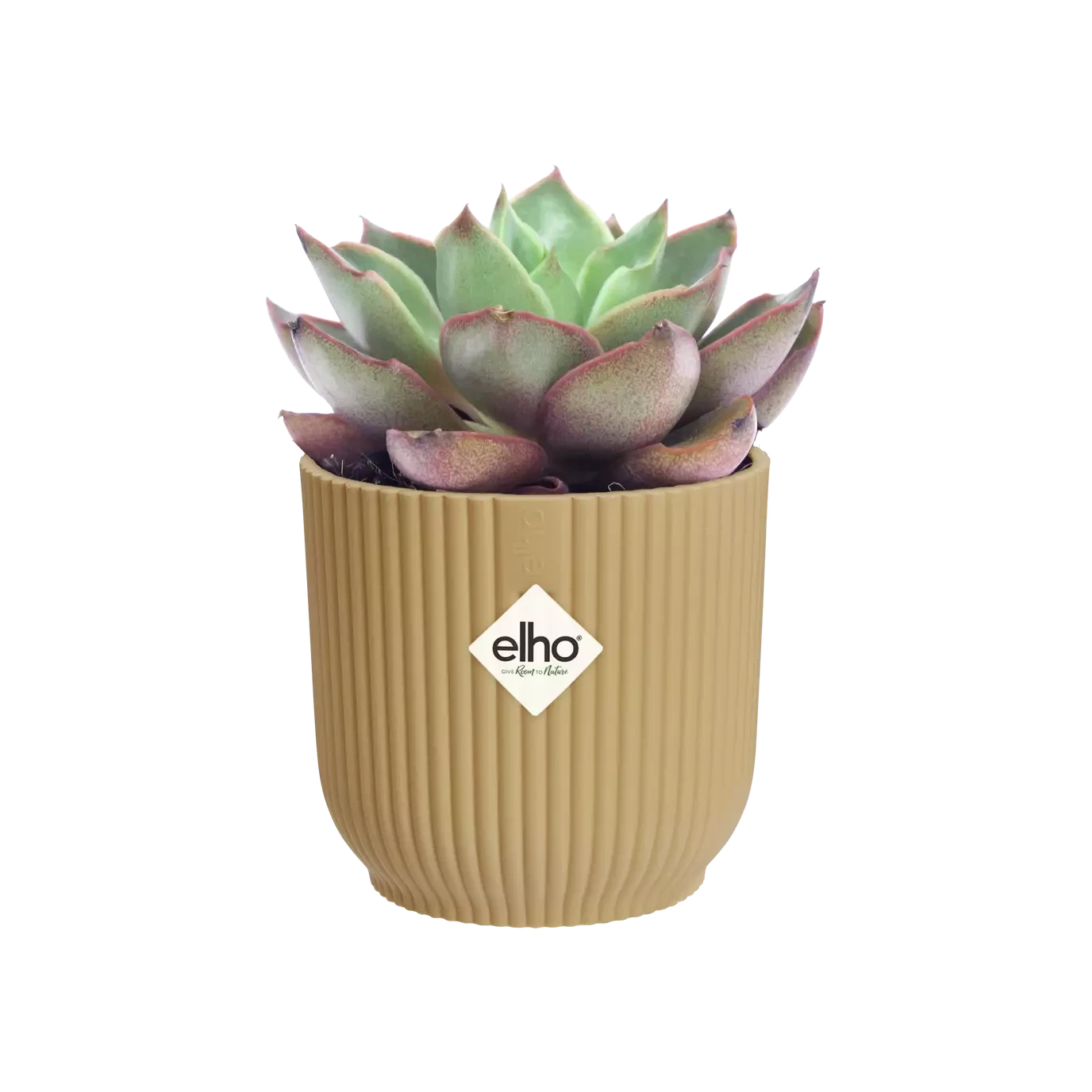 Vibes Fold Round Mini 11cm Butter Yellow 1 Vibes Fold Round Mini 11cm Butter Yellow